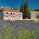 A stone monastery situated next to a lavender field